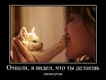     
: rs_02.jpg
: 18
:	40.8 
ID:	11362606