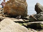     
: DSC03460.jpg
: 41
:	245.7 
ID:	11365263