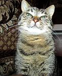     
: IMG_0283.jpg
: 147
:	200.3 
ID:	11366500