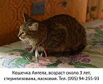     
: w87um1TkzSs.jpg
: 138
:	60.6 
ID:	11366502