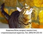     
: pBJZF7Deico.jpg
: 139
:	66.5 
ID:	11366503