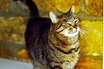    
: DSC_0088.jpg
: 143
:	135.7 
ID:	11366506