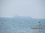     
: IMG_9742.jpg
: 37
:	87.7 
ID:	11368071