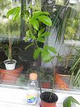     
: DSCN2297.jpg
: 12
:	102.0 
ID:	11371449