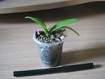     
: IMG_6575.jpg
: 24
:	102.9 
ID:	11371910