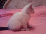     
: Rq8Pyjl9qNE.jpg
: 12
:	92.0 
ID:	11373085