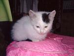    
: vjVBwKAjqqM.jpg
: 12
:	93.4 
ID:	11373086