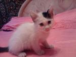     
: xVledx5uOnY.jpg
: 15
:	93.5 
ID:	11373087
