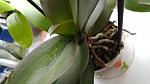     
: 2016-08-03 12.39.51.jpg
: 9
:	79.4 
ID:	11374374
