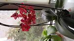     
: 2016-08-03 12.40.00.jpg
: 10
:	150.1 
ID:	11374377