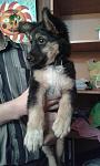     
: 20160803_132546.jpg
: 14
:	65.5 
ID:	11374879