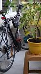     
: 20160801_205154.jpg
: 55
:	192.4 
ID:	11377072