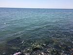     
: image-04-08-16-02-33-1.jpeg
: 32
:	280.0 
ID:	11377713