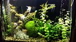     
: 20160804_222222[1].jpg
: 40
:	182.8 
ID:	11378915