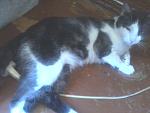     
: 20160805-121747.jpg
: 23
:	73.1 
ID:	11380083