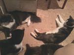     
: 20160619-232946.jpg
: 27
:	74.2 
ID:	11380092