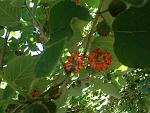     
: image.jpg
: 12
:	153.1 
ID:	11381056