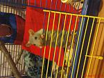     
: DSC01602.JPG
: 29
:	154.8 
ID:	1138111