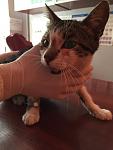     
: IMG_2357.jpg
: 25
:	56.1 
ID:	11381431