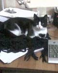     
: YO1rfrCVVAw.jpg
: 30
:	43.5 
ID:	11382412