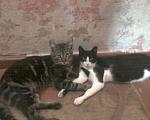    
: b1pgU2bjIR4 (1).jpg
: 33
:	48.1 
ID:	11382413