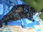     
: 20140529-201431.jpg
: 29
:	121.7 
ID:	11382414