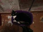     
: 20131014-104030.jpg
: 28
:	67.2 
ID:	11382416