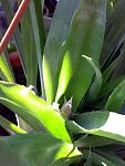     
: 050820164709.jpg
: 10
:	85.2 
ID:	11383329