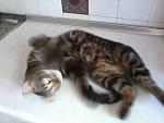     
: 20140526-123336.jpg
: 19
:	83.8 
ID:	11384276