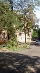     
: IMG_20160807_112303849.jpg
: 98
:	129.9 
ID:	11384557