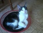     
: 20150803-130511.jpg
: 24
:	86.2 
ID:	11385287