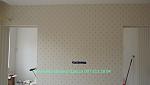    
: P10609201.jpg
: 12
:	56.4 
ID:	11385376