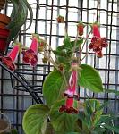     
: 100_3476.jpg
: 21
:	135.9 
ID:	11388567