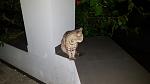     
: ESQNwsshCvM.jpg
: 37
:	64.4 
ID:	11391049