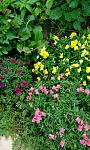     
: IMG_20160809_170136.jpg
: 9
:	158.0 
ID:	11391136