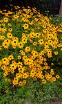     
: IMG_20160809_170117.jpg
: 10
:	164.4 
ID:	11391137