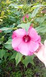     
: IMG_20160809_170005.jpg
: 9
:	110.5 
ID:	11391138