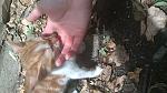     
: DSC_0066.jpg
: 33
:	146.7 
ID:	11392557