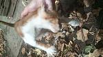     
: DSC_0065.jpg
: 25
:	136.0 
ID:	11392558