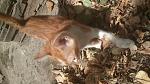     
: DSC_0062.jpg
: 24
:	158.5 
ID:	11392559