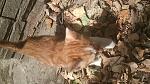     
: DSC_0060.jpg
: 34
:	183.2 
ID:	11392560