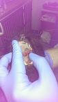     
: oAPeIMIkFvE.jpg
: 14
:	29.3 
ID:	11393953