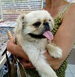     
: nNMFSIhZLLs.jpg
: 17
:	137.8 
ID:	11396941