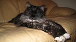     
: IMG_0835.JPG
: 29
:	116.5 
ID:	1139740
