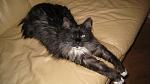     
: IMG_0836.JPG
: 26
:	114.7 
ID:	1139741