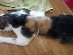     
: 20160811-160549.jpg
: 62
:	113.1 
ID:	11397603