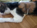     
: 20160811-160603.jpg
: 42
:	102.1 
ID:	11397604