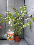     
: IMG_6562.jpg
: 17
:	100.5 
ID:	11398644
