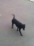     
: 2016-08-12 21.55.21.jpg
: 12
:	167.2 
ID:	11399981