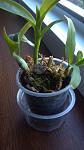     
: 2016-08-13_17-42-04_751.jpg
: 17
:	64.0 
ID:	11401817